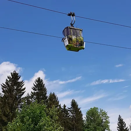 Reinsch Goslar-hahnenklee Prázdninový dům Goslar