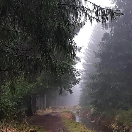 Prázdninový dům Reinsch Goslar-hahnenklee *