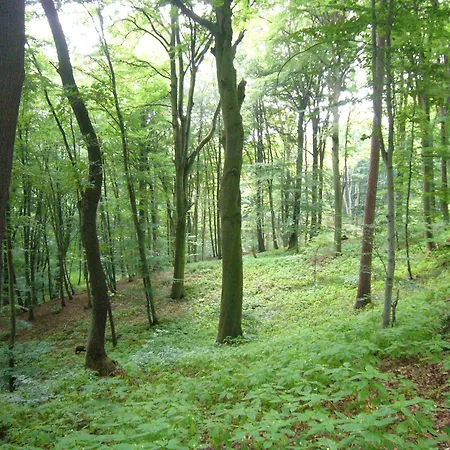 Reinsch Goslar-hahnenklee Prázdninový dům Goslar