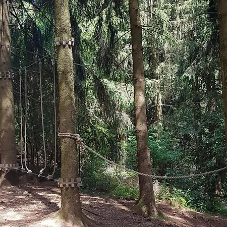 Hébergement de vacances Reinsch Goslar-hahnenklee