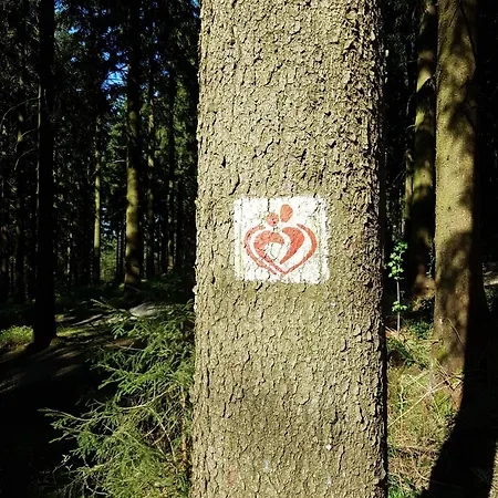 Reinsch Goslar-hahnenklee * Goslar