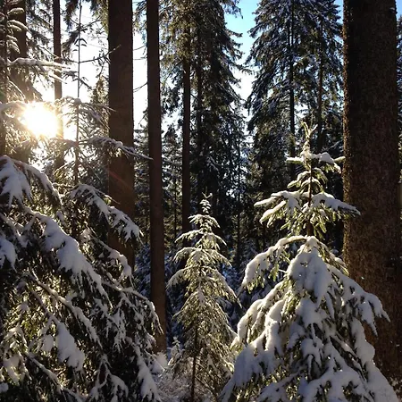 Reinsch Goslar-hahnenklee *