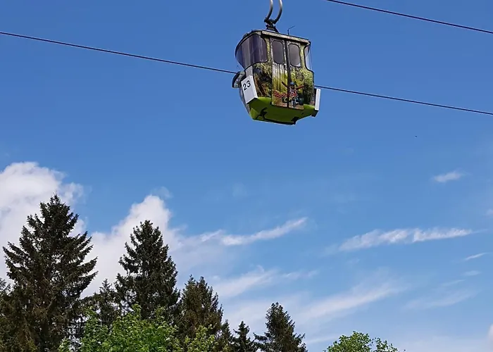 Reinsch 別荘 ゴスラー