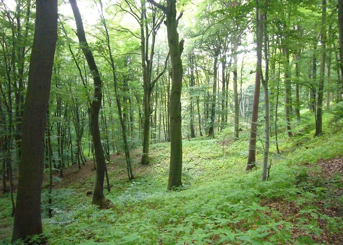 Reinsch 別荘 ゴスラー