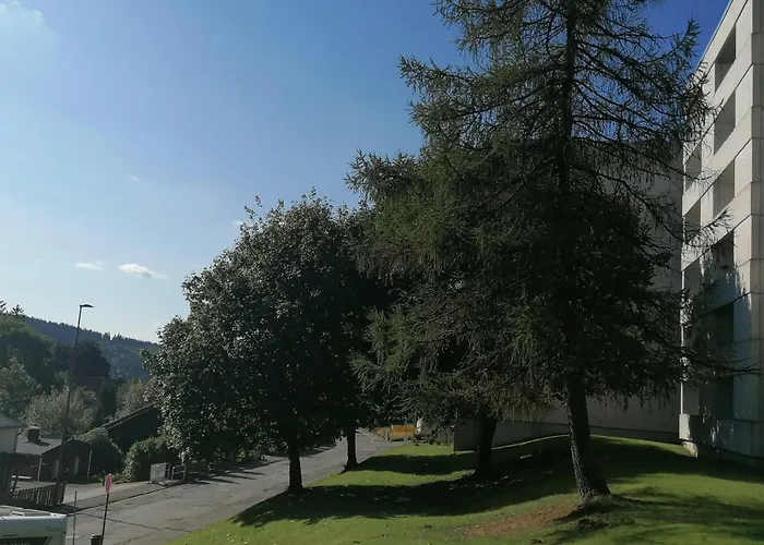 Reinsch 別荘 ゴスラー