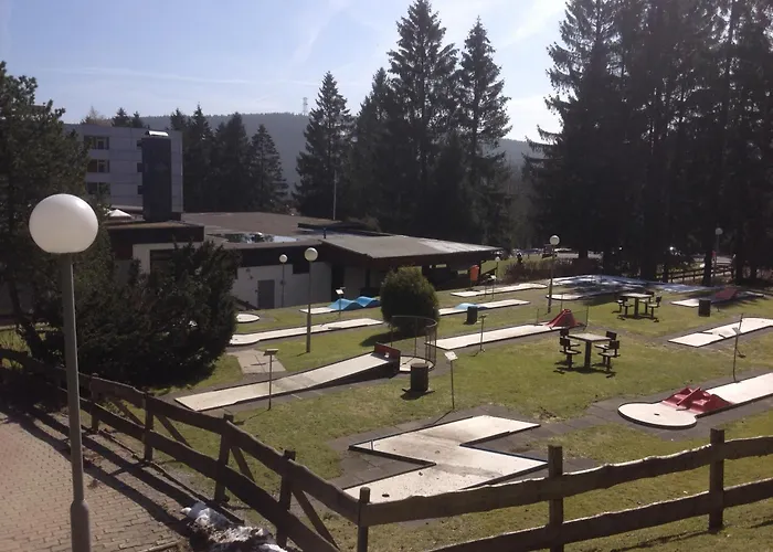 Reinsch * ゴスラー